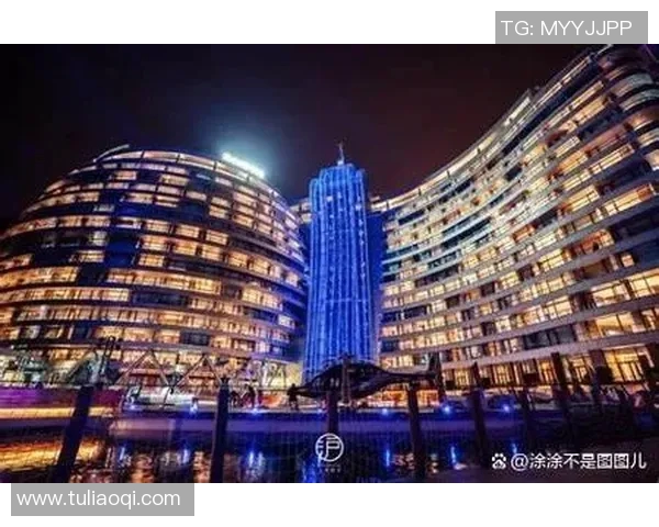 杭州飞盘队运营分析:成功经验与面临挑战的全面探讨 杭州飞盘队运营分析:成功经验与面临挑战的全面探讨