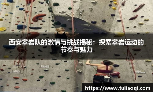 熊猫体育官网