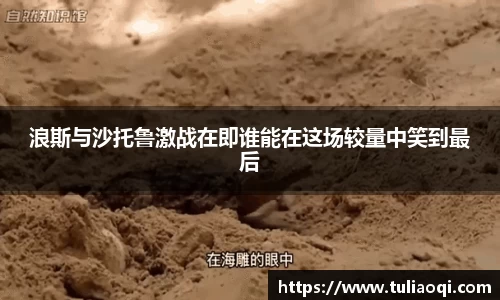 熊猫体育网页版