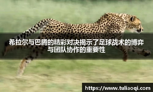 熊猫体育官网