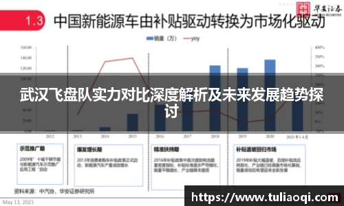 武汉飞盘队实力对比深度解析及未来发展趋势探讨